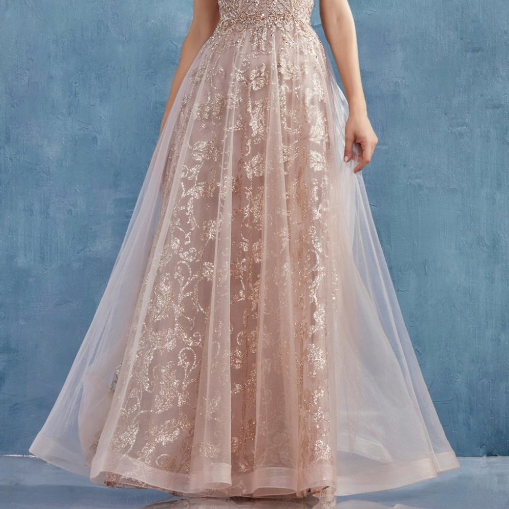 Illusion V-Neck A-Line Shape Prom Dress ALA0882 - Picture 4 of 5